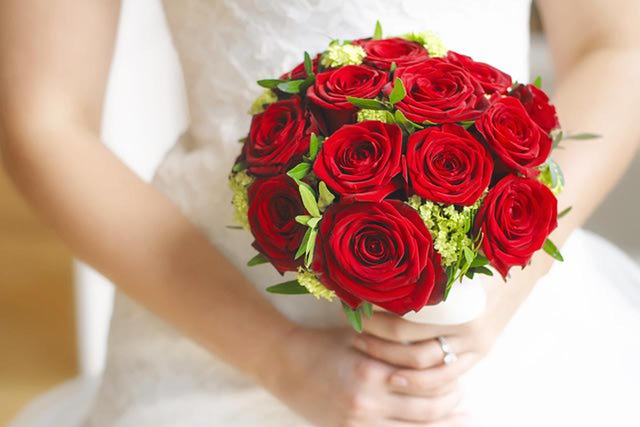 June Roses Speak Love to the Bride